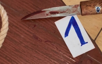 Трагедия семьи Саввы Михайлова: В Якутске 16-летняя девушка обвинена в убийстве матери и малолетнего брата