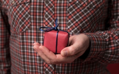 Житель Якутии вырастил из корма для попугаев куст конопли и подарил другу на день рождения наркотическое средство