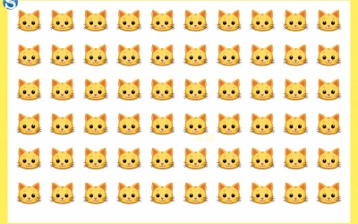 Тест на внимательность: найдите кошечку, которая отличается от других