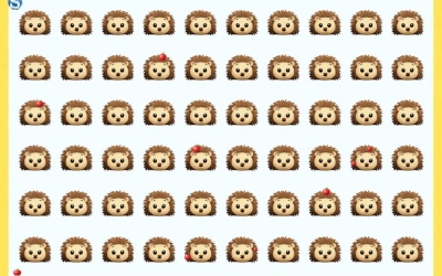 Тест на внимательность: сколько яблок спрятали ежики?