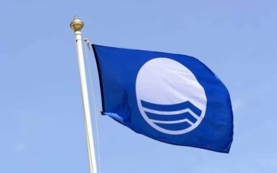 10 вопросов на эрудицию: разогрейте мозг и проверьте себя