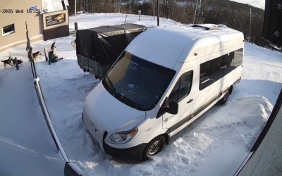 В Нерюнгри после нападения стаи бродячих собак на женщину возбудили дело о халатности