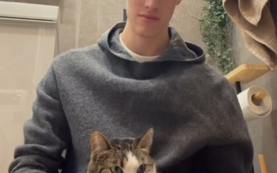Парень решил пообщаться с кошкой через нейросети: ChatGPT согласился помочь, вот только есть нюанс…