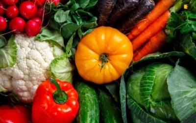 Эксперты прогнозируют резкий скачок цен на фрукты и овощи до 60% из-за проблем с импортом