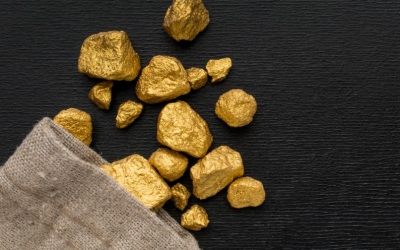 В Якутии директор организации предстанет перед судом за незаконную добычу золота и серебра на 88,5 млн рублей