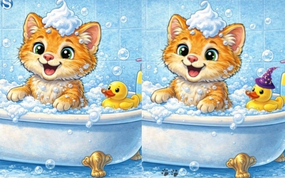 Тест на внимательность: кошечка принимает ванну — найдите 3 отличия за 5 секунд!