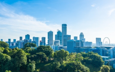 Риелторы ввели проверку через родственников для защиты от «схемы Долиной»