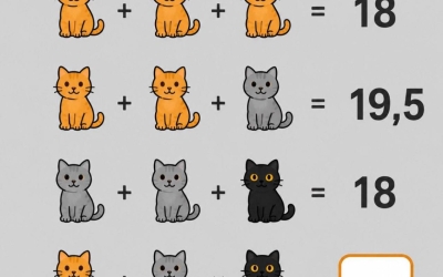 Тест на логику: озорные котята. Сможете решить за 15 секунд?