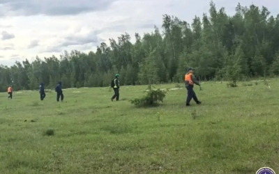 В Хангаласском улусе ищут 66-летнюю женщину, ушедшую в лес за ягодами
