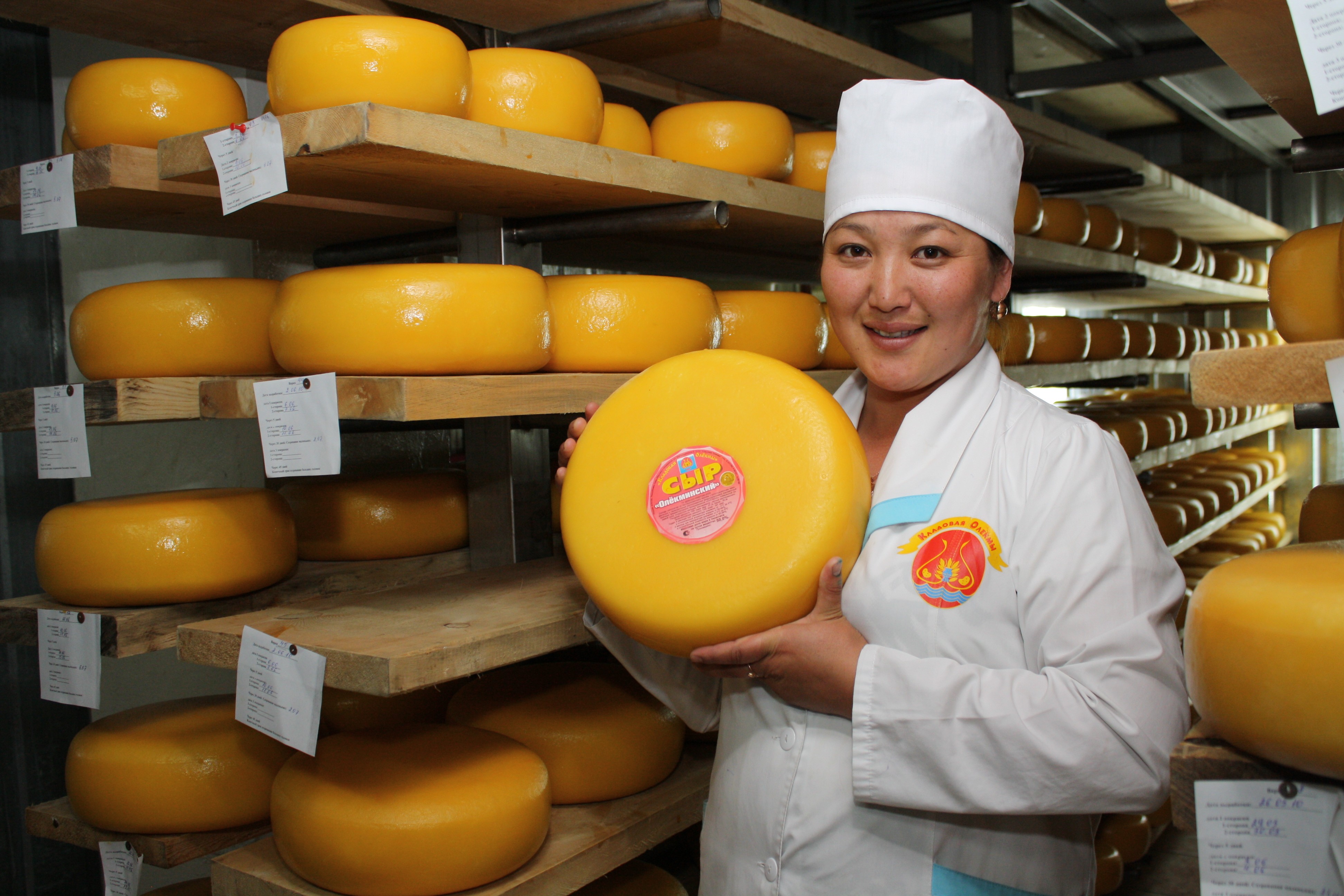 Сайты производителей сыра. Олекминский сыр. Кладовая Олекмы. Производство сыров. Сырный цех.