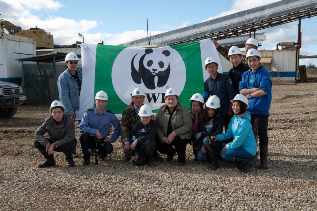 загруженное (1)