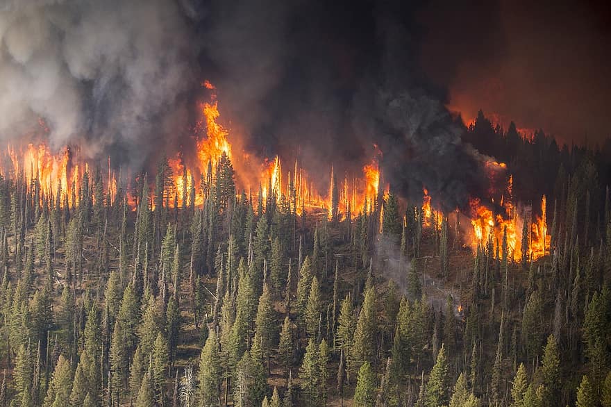 В Якутии установлен подозреваемый в возникновении лесного пожара, который тушили больше месяца