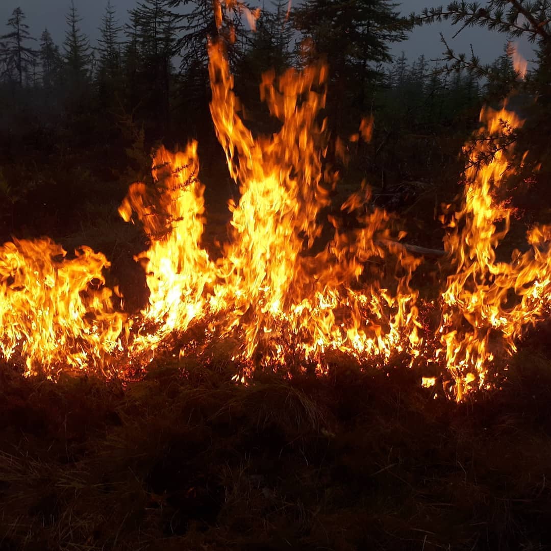 Страшный лесной пожар вплотную приближается к якутскому селу