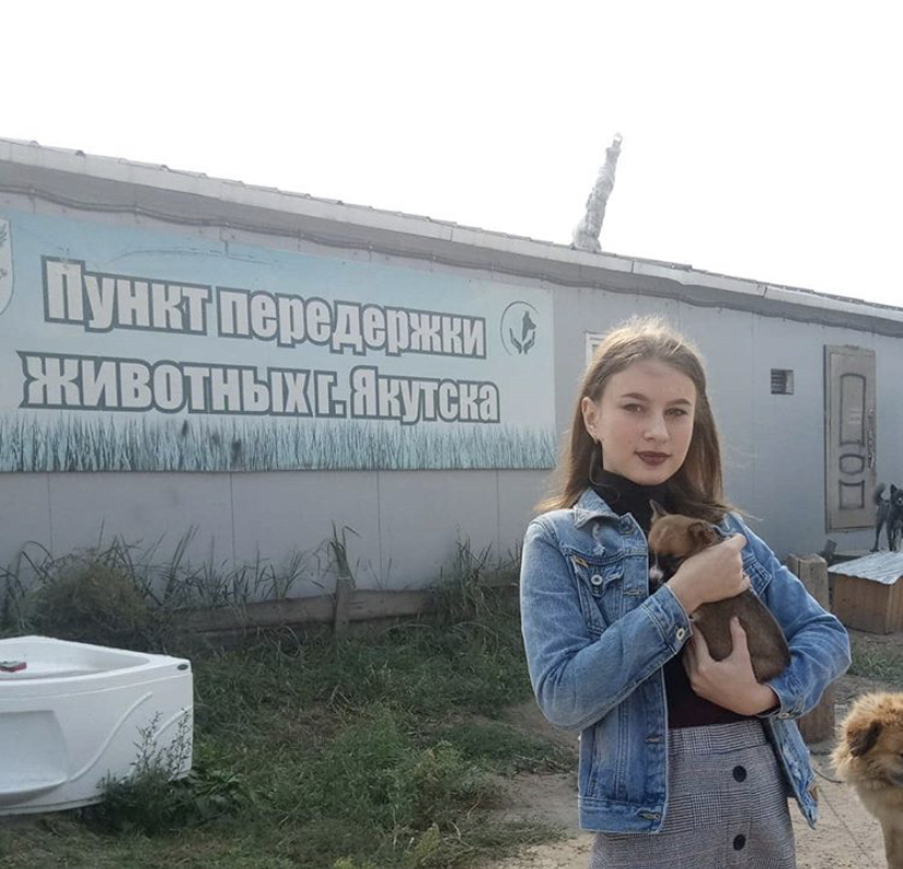 Пункт передержки безнадзорных животных города Якутска передан некоммерческой организации «Помоги выжить»