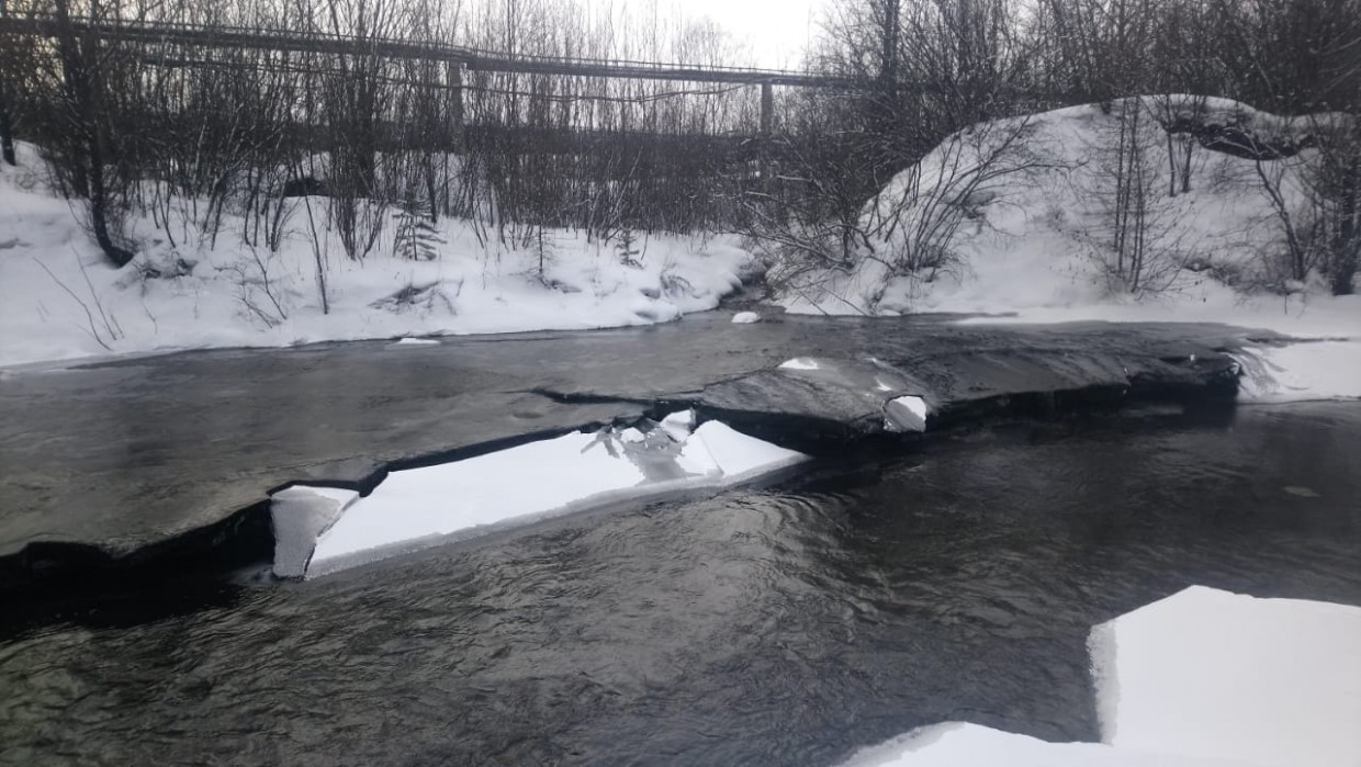 В Якутии река стала черной: госинспекторами отобраны пробы воды 