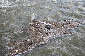 Организована проверка в отношении недропользователя по информации о загрязнении рек Сентачан и Адыча