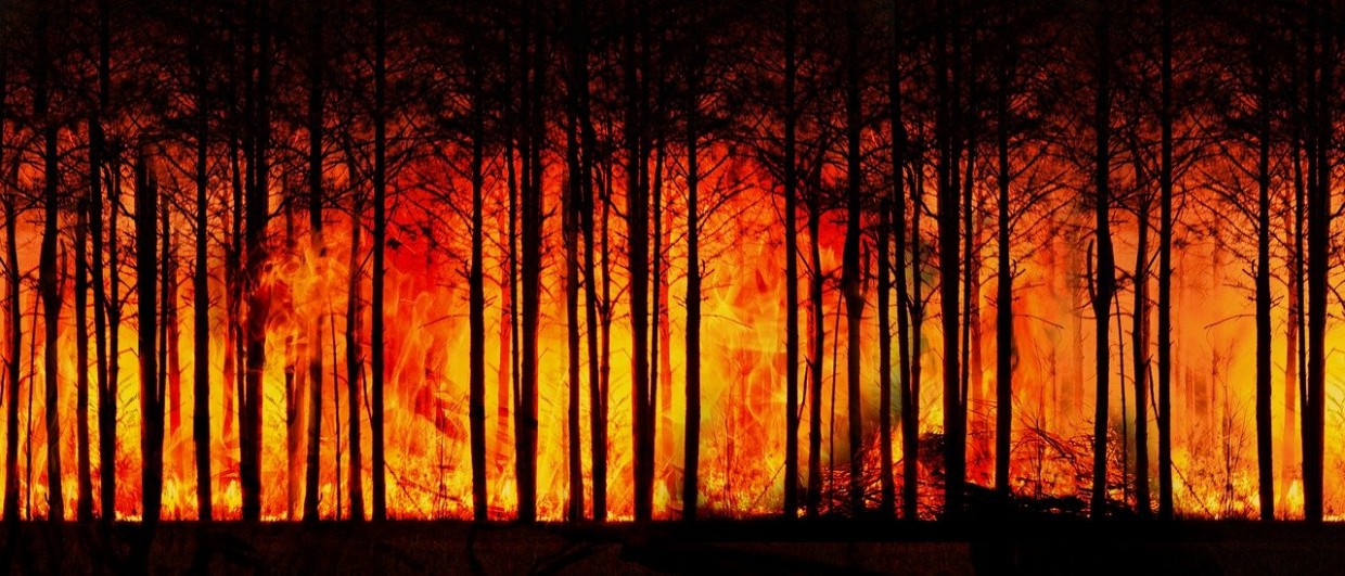 Глава Минприроды РФ: Якутия и Иркутская область занижают данные о лесных пожарах