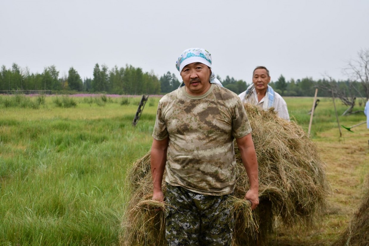 В Якутии реализуют комплекс мер для заготовки сена и сохранения поголовья скота