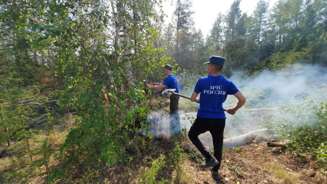 За сутки в Якутии ликвидировано 14 лесных пожаров