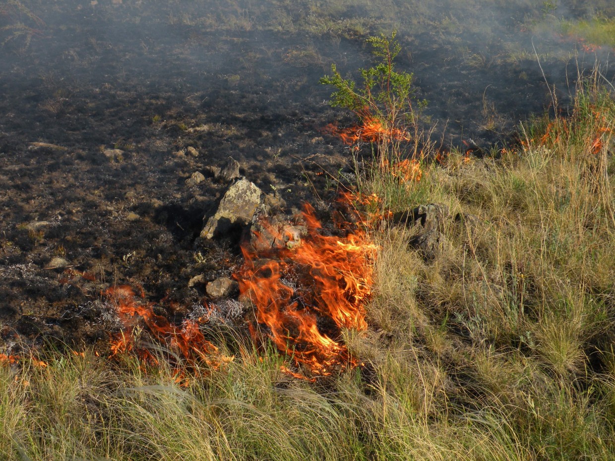 Выжигавшему сухую траву жителю Якутии вынесли приговор