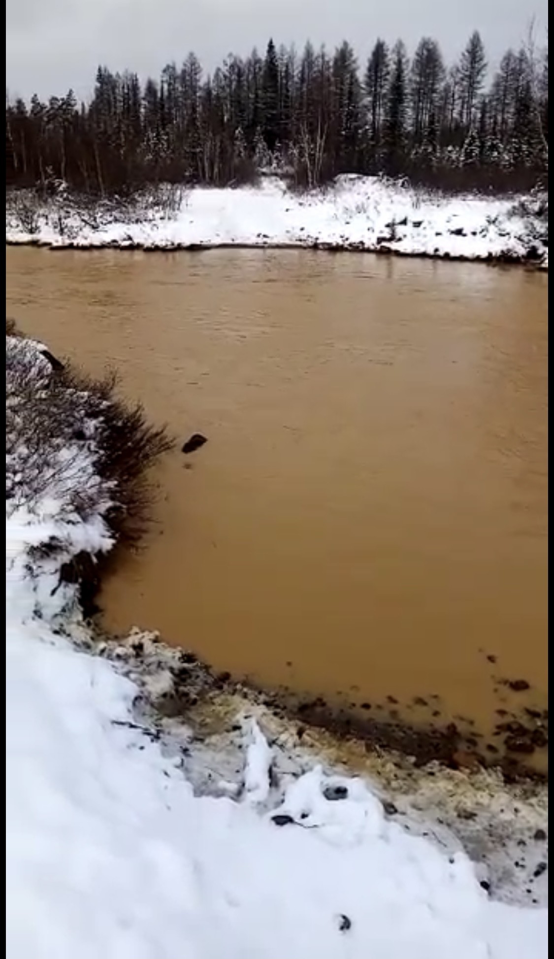 Поступающие с территории недропользователя сточные воды загрязнили реку в Алданском районе