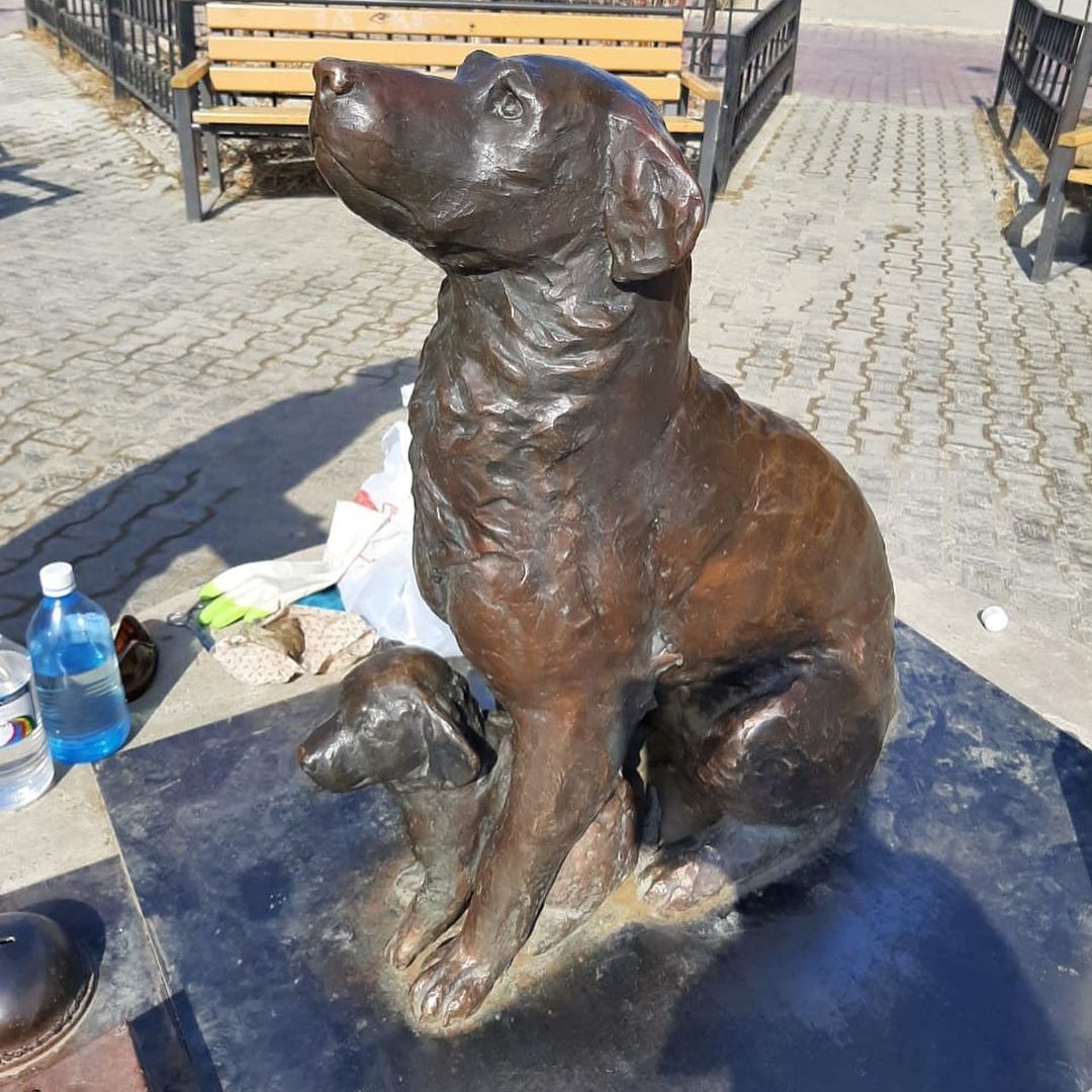 Вандалы облили краской скульптуру собачки в Якутске