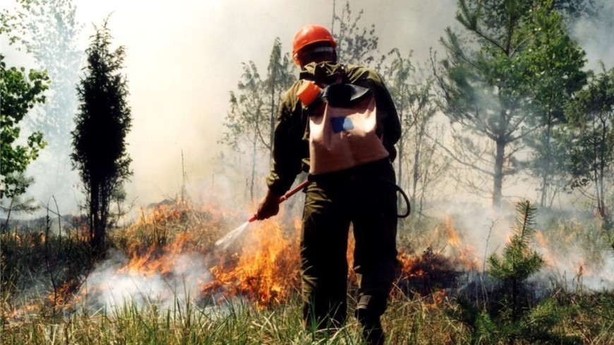 На территории Якутии действуют 80 лесных пожаров