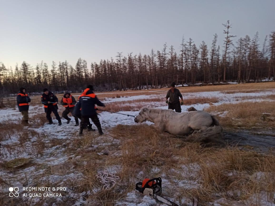 Утонули лошади. Спасатели Якутск. Спасение якутских животных. Грузовики проваливаются под лед в Якутии. Ледяные кони в Якутии.
