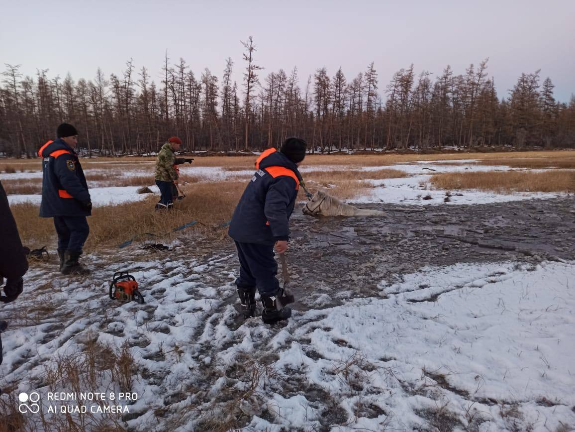 Утонули лошади. По тонкому льду. Ледяные кони в Якутии. Провалился лёд в Якутии новости.