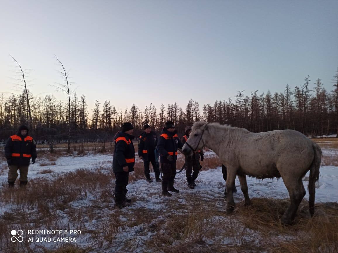 Утонули лошади. Верхоянская лошадь. Ледяная лошадь. Спасение якутских животных. Дулгалахский наслег.