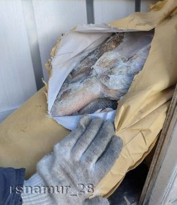 В Якутию было доставлено 40 тонн потенциально небезопасной рыбной продукции