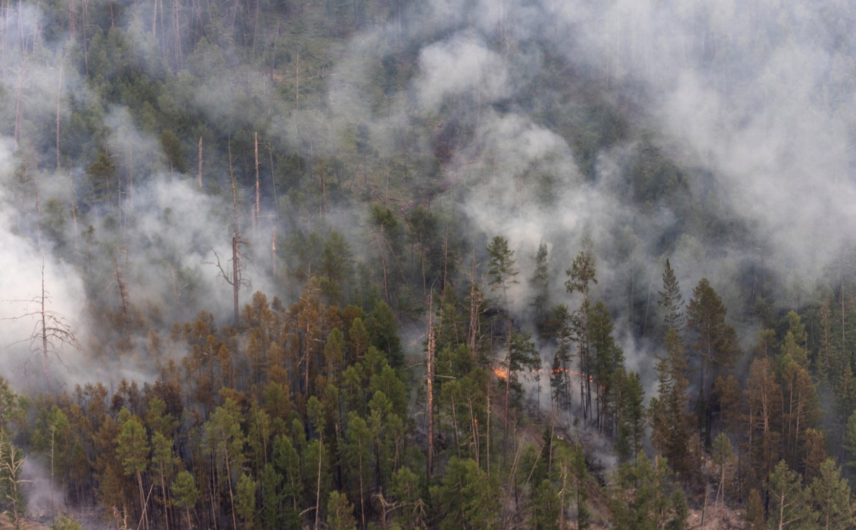 Управление ГО И ЧС Якутска: Соблюдайте правила пожарной безопасности в лесах