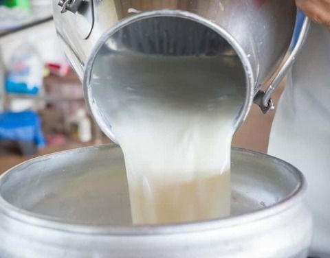 В Якутии заготовлено более 45 тысяч тонн молока