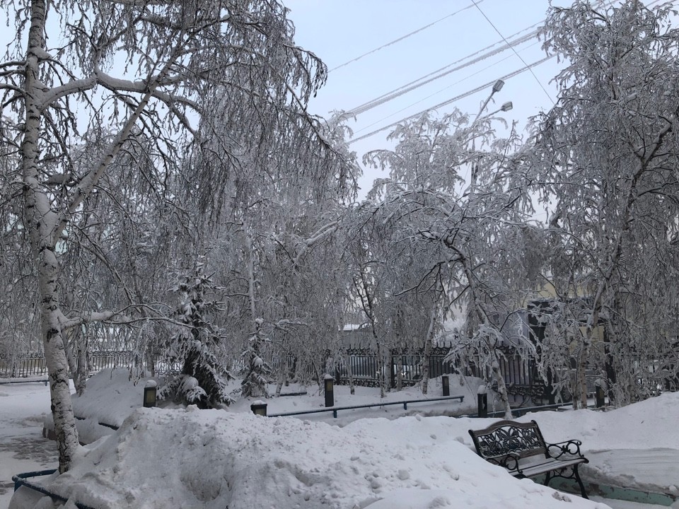 Прогноз погоды на 24 января: В Якутске днем значительно потеплеет
