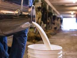 В Якутии в 2023 году почти каждая десятая исследованная проба молока и молочной продукции не соответствовала обязательным требованиям