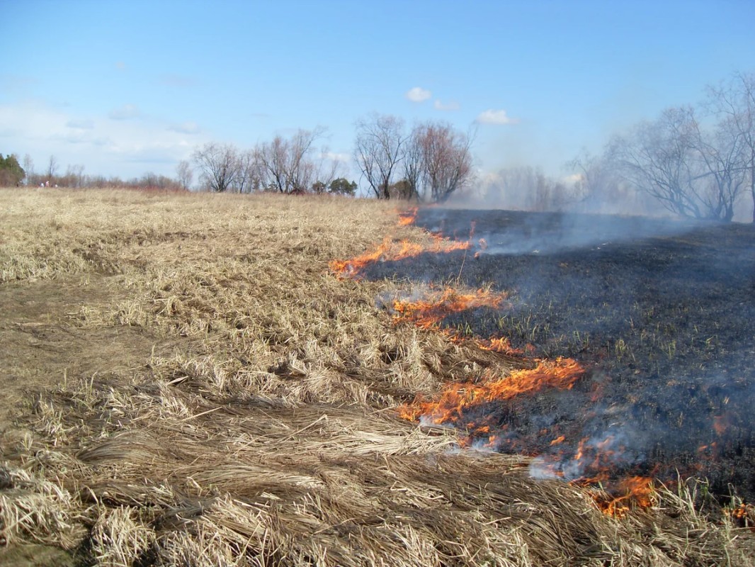 Запрет на выжигание сухой травы действует на всей территории Якутска