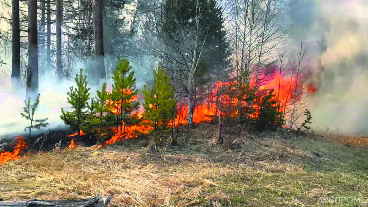 Жителей Якутска предупреждают об ответственности за нарушение пожарной безопасности в лесах