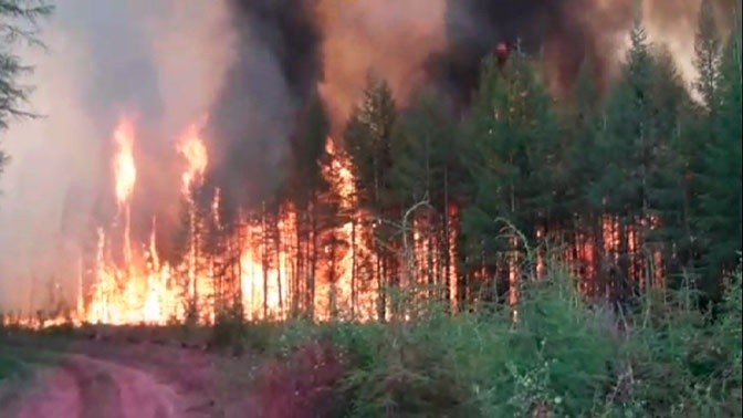 Лесной пожар приближается к населенному пункту в Якутии: Жителей готовят к эвакуации