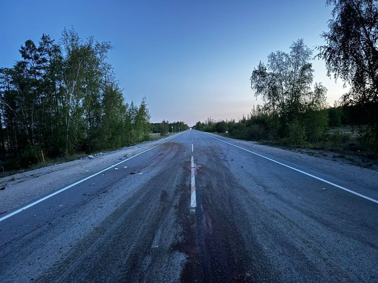 В Якутии водитель на автомобиле сбил насмерть лося