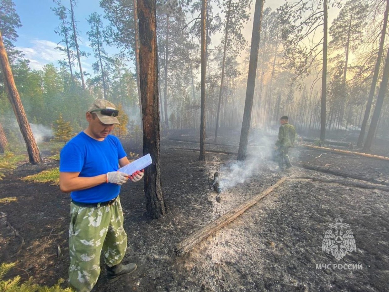 Дознаватели МЧС России устанавливают виновников в природных пожарах