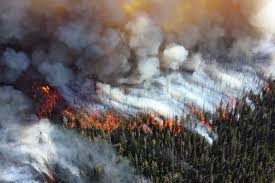 На расстоянии 6 километров от села Сайды Верхоянского района остановлен лесной пожар