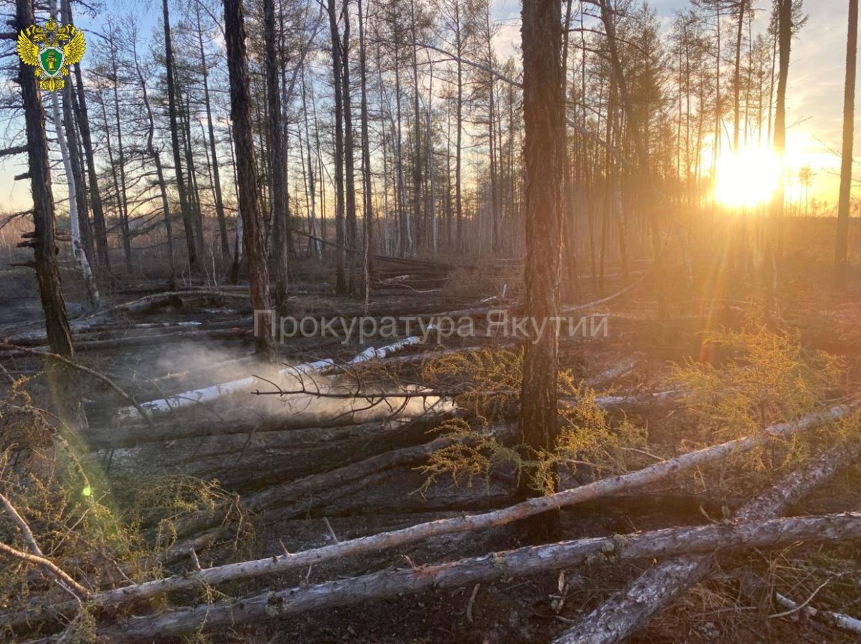 В Намском районе виновник лесного пожара привлечен к материальной и уголовной ответственности